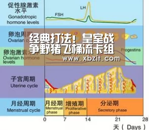 经典打法!皇室战争野猪飞桶流卡组推荐|开云电竞官网(图3) 开云电竞app下载安装