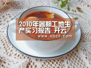 2010年暑期工地生产实习报告_开云电竞app下载安装(图4) 开云电竞app下载安装
