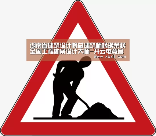 湖南省建筑设计院总建筑师杨瑛荣获全国工程勘察设计大师-开云电竞官网(图3) 开云电竞官网