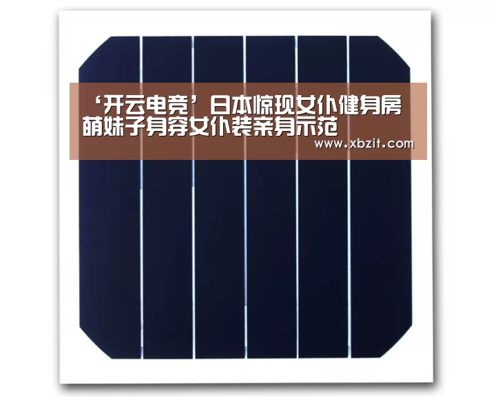 开云电竞app下载安装