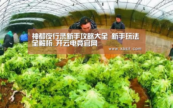 神都夜行录新手攻略大全 新手玩法全解析_开云电竞官网(图2) 开云电竞app下载安装